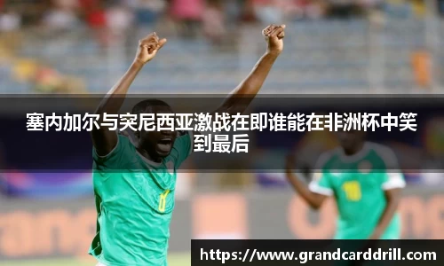 塞内加尔与突尼西亚激战在即谁能在非洲杯中笑到最后
