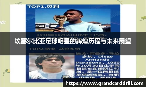 365WM完美体育官方网站